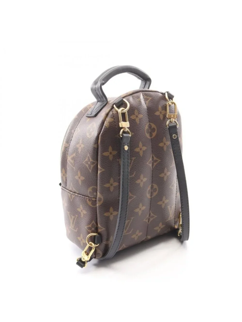 Louis Vuitton Backpack Palm Spring Mini Canvas Leather